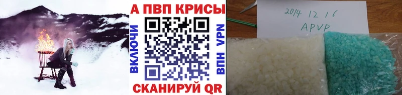 Alfa_PVP СК КРИС Вятские Поляны