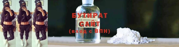 сатива Волоколамск