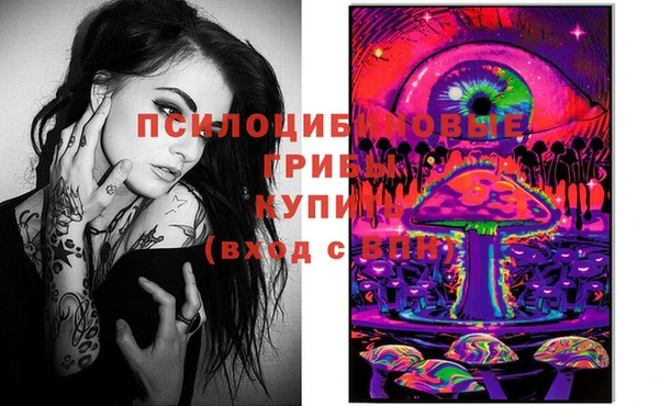 дурь Верхний Тагил